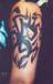 Cover up