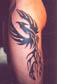Tribal